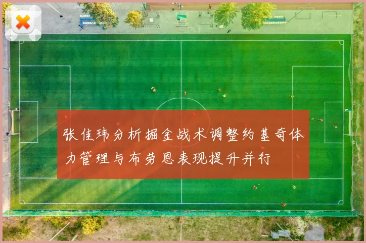 张佳玮分析掘金战术调整约基奇体力管理与布劳恩表现提升并行