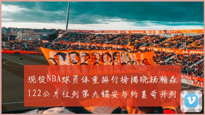 现役NBA球员体重排行榜揭晓杨瀚森122公斤位列第九锡安与约基奇并列第三