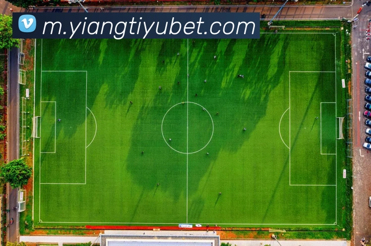 App Interface Preview